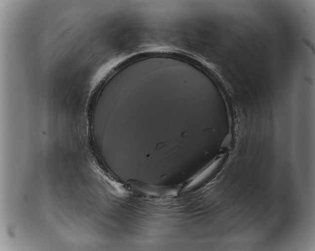 X0000101951319200808081457