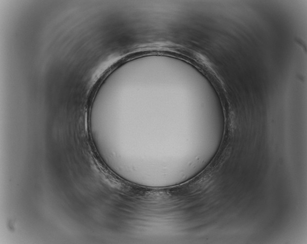 X0000101951320200808081457