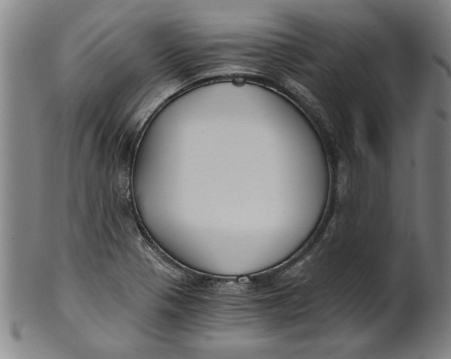 X0000101951321200808081457