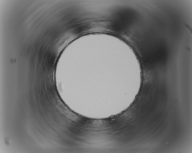 X0000101951322200808081457