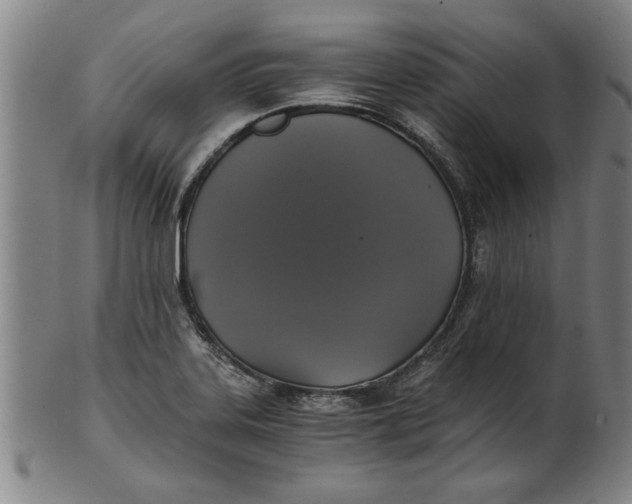 X0000101951323200808081457