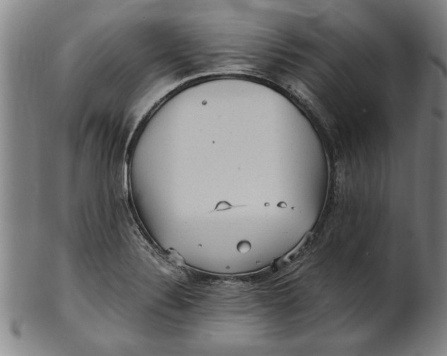 X0000101951324200808081457