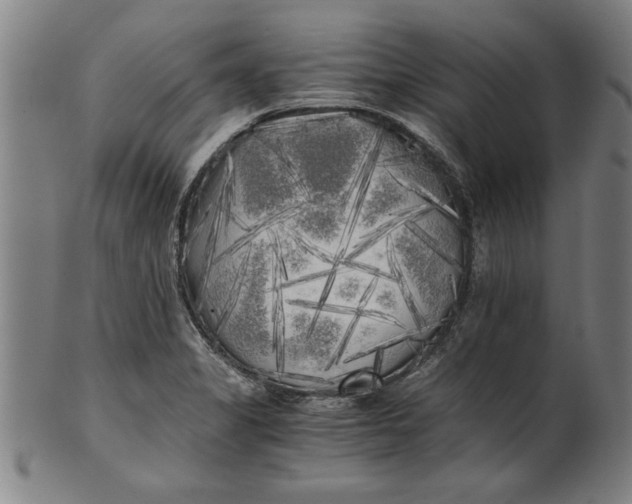 X0000101951325200808081457