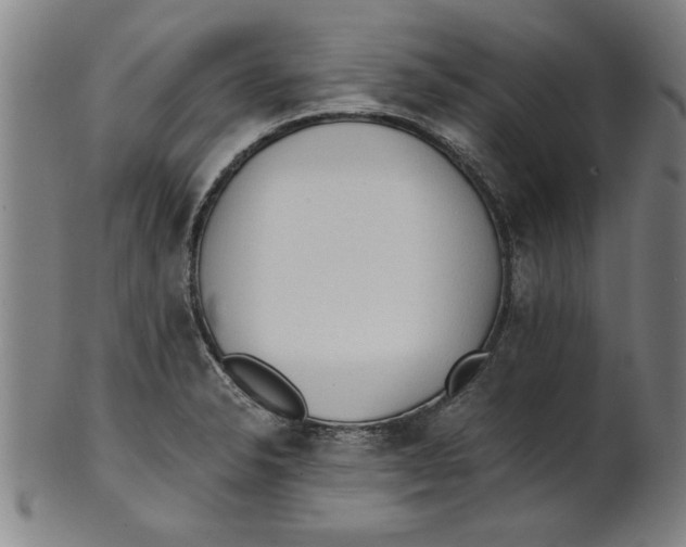 X0000101951326200808081457