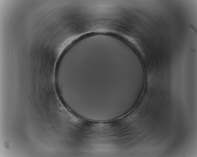 X0000101951327200808081457