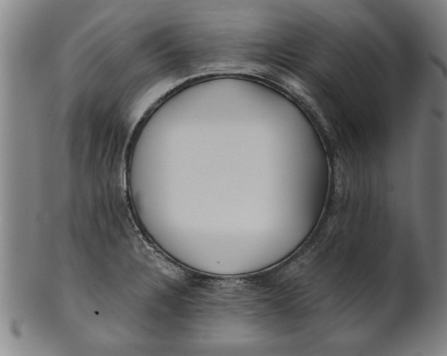 X0000101951328200808081457