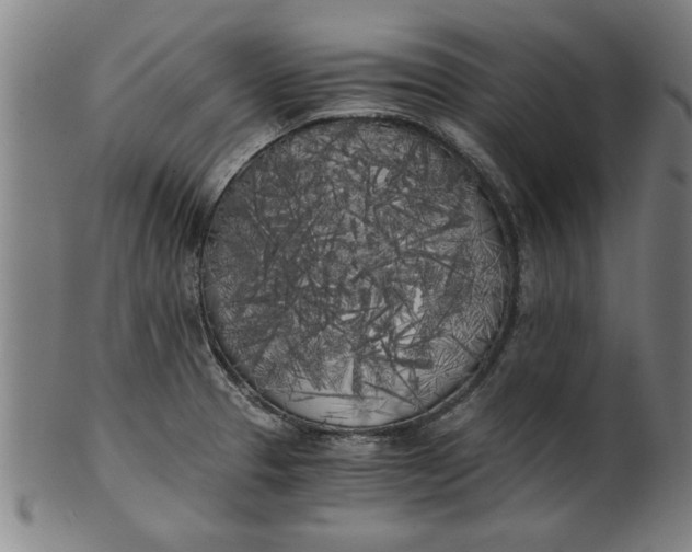 X0000101951329200808081457