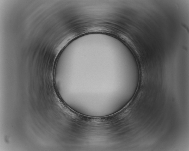 X0000101951330200808081457