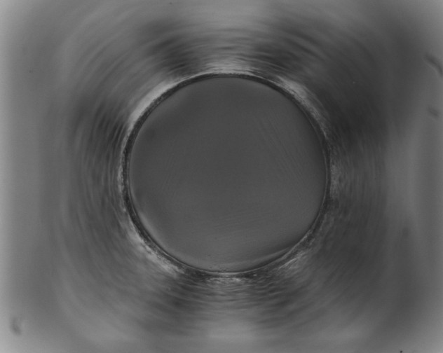 X0000101951331200808081457