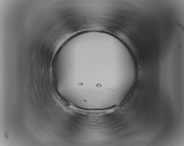 X0000101951332200808081457