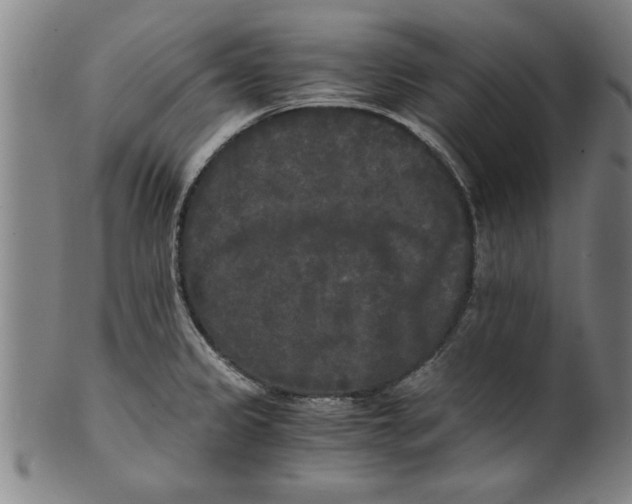 X0000101951333200808081457