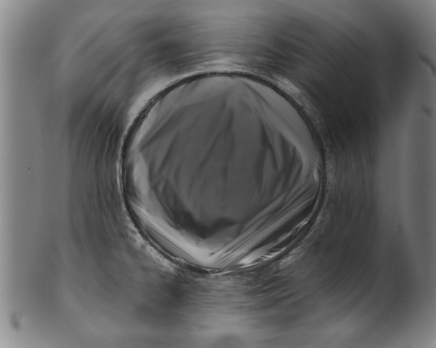 X0000101951334200808081457