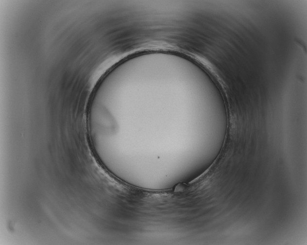 X0000101951335200808081457