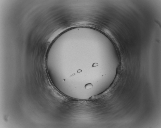 X0000101951336200808081457