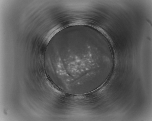 X0000101951337200808081457