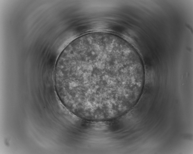 X0000101951338200808081457