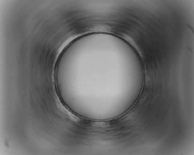 X0000101951339200808081457