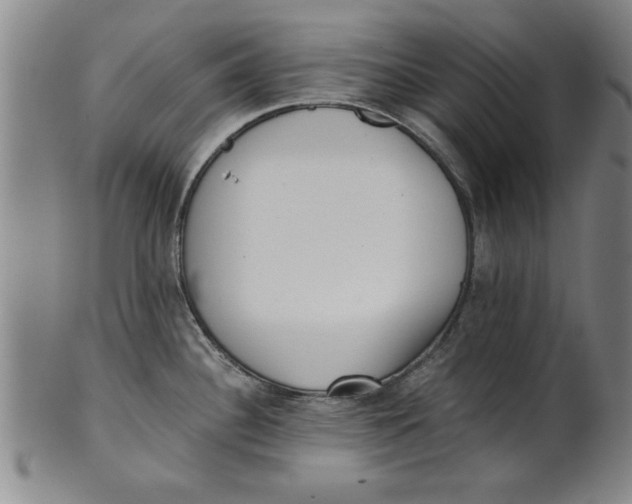 X0000101951340200808081457