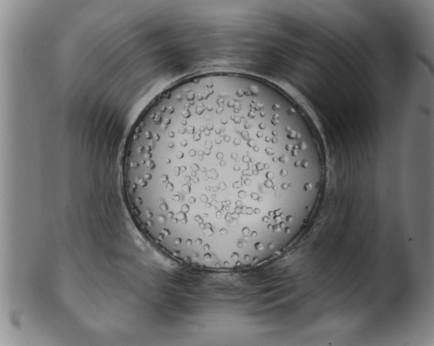 X0000101951341200808081457