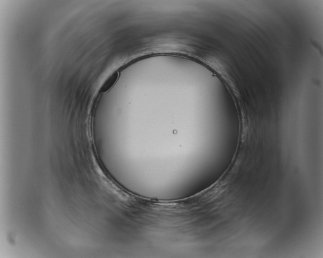 X0000101951342200808081457