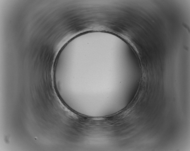 X0000101951343200808081457