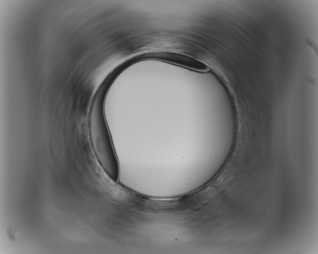 X0000101951344200808081457