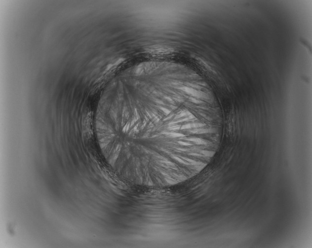 X0000101951346200808081456