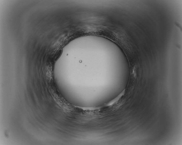 X0000101951348200808081456