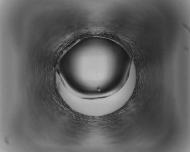 X0000101951349200808081456