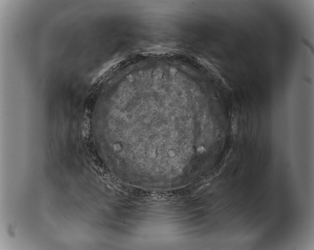 X0000101951350200808081456