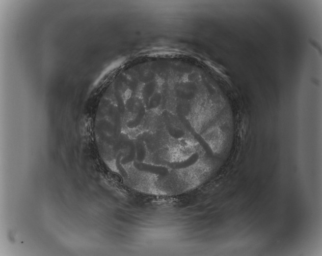 X0000101951351200808081456