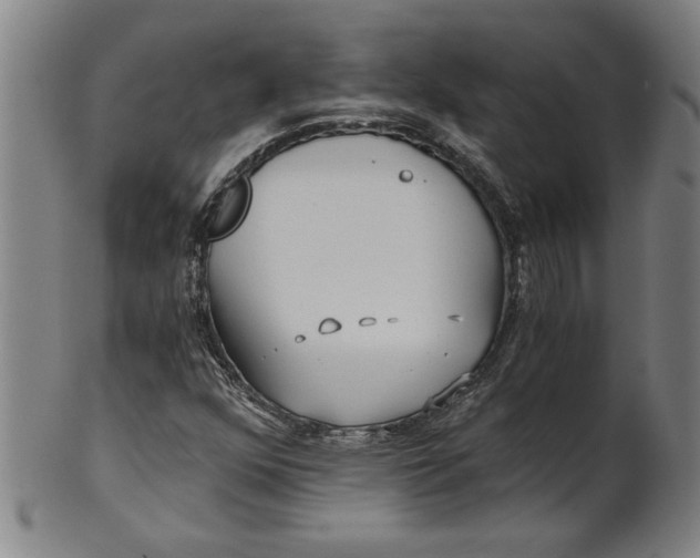 X0000101951352200808081456