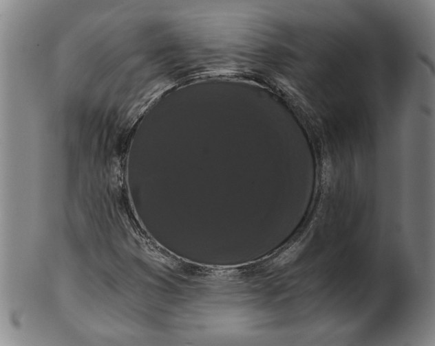 X0000101951353200808081456