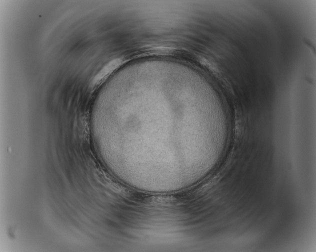 X0000101951354200808081456