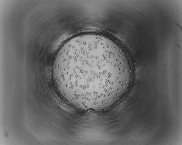 X0000101951355200808081456