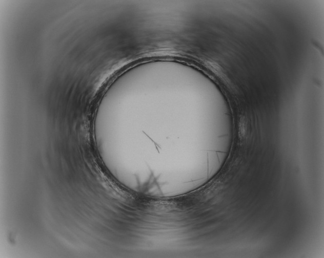 X0000101951356200808081456