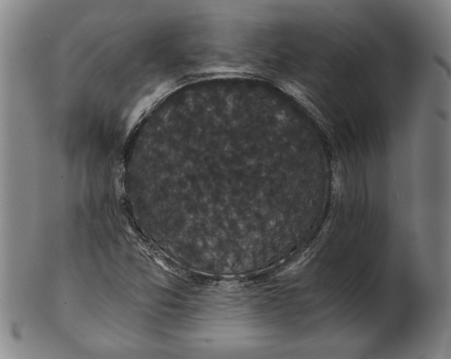 X0000101951357200808081456