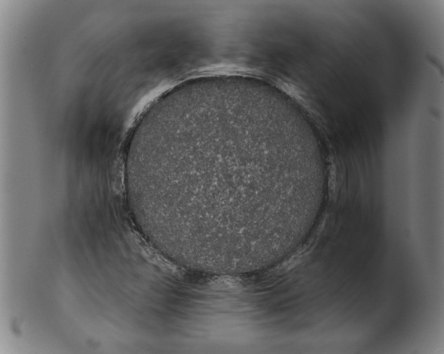 X0000101951358200808081456