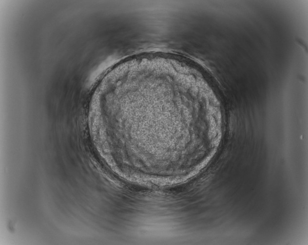 X0000101951359200808081456