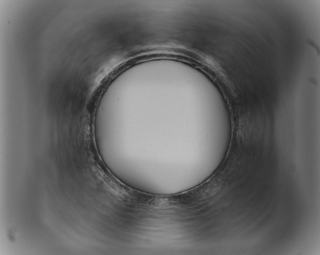 X0000101951360200808081456