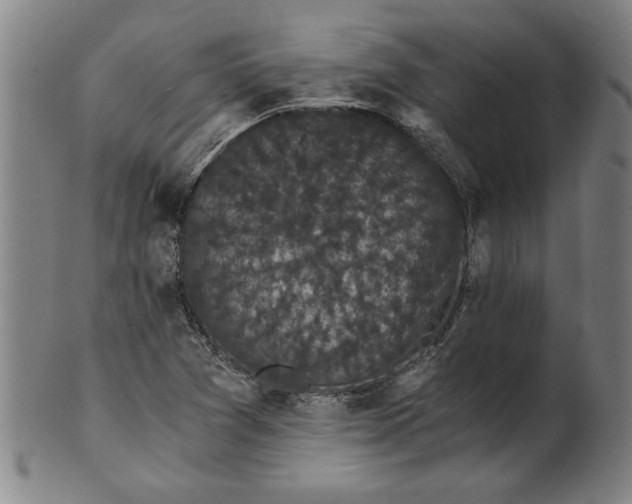 X0000101951361200808081456