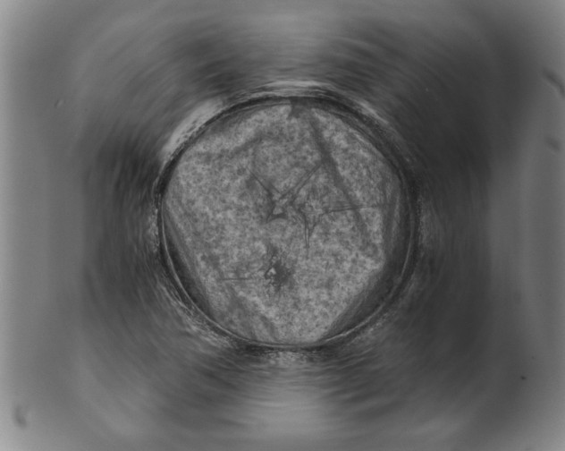 X0000101951362200808081456