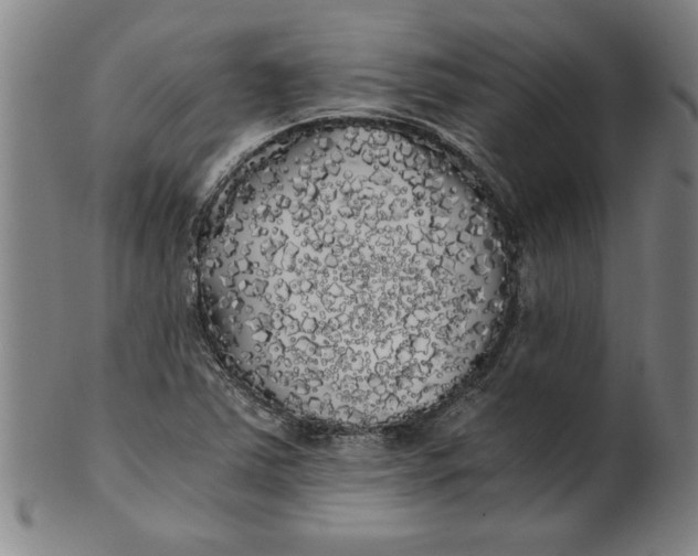 X0000101951363200808081456