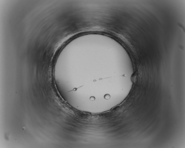 X0000101951364200808081456