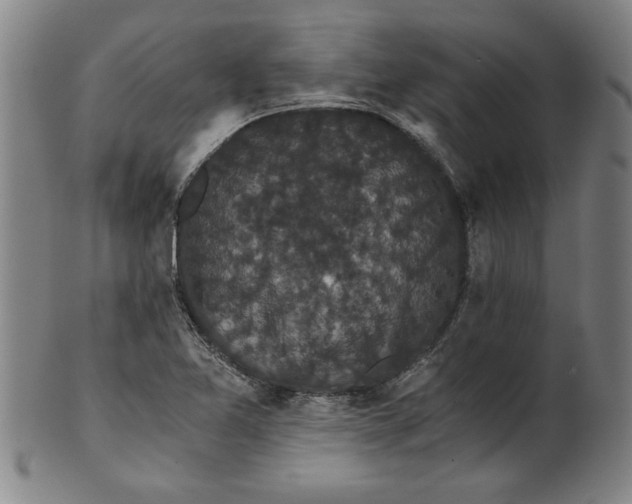 X0000101951365200808081456