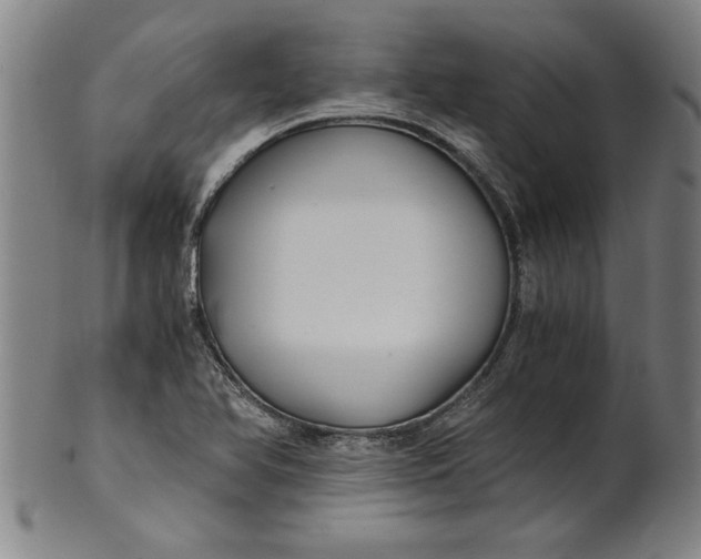 X0000101951366200808081456