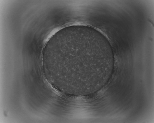 X0000101951367200808081456