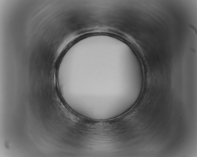 X0000101951368200808081456