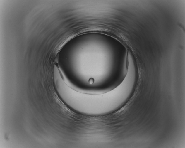 X0000101951369200808081456