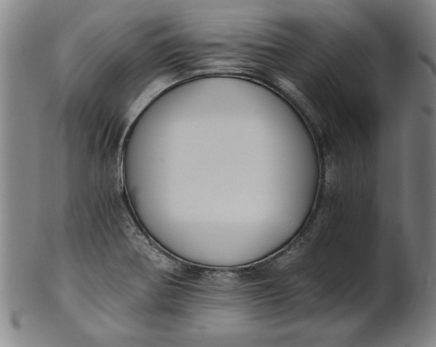 X0000101951370200808081456